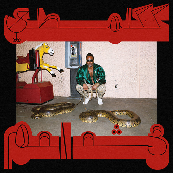 Robed in Rareness - LP