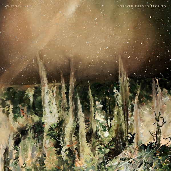Forever Turned Around - LP