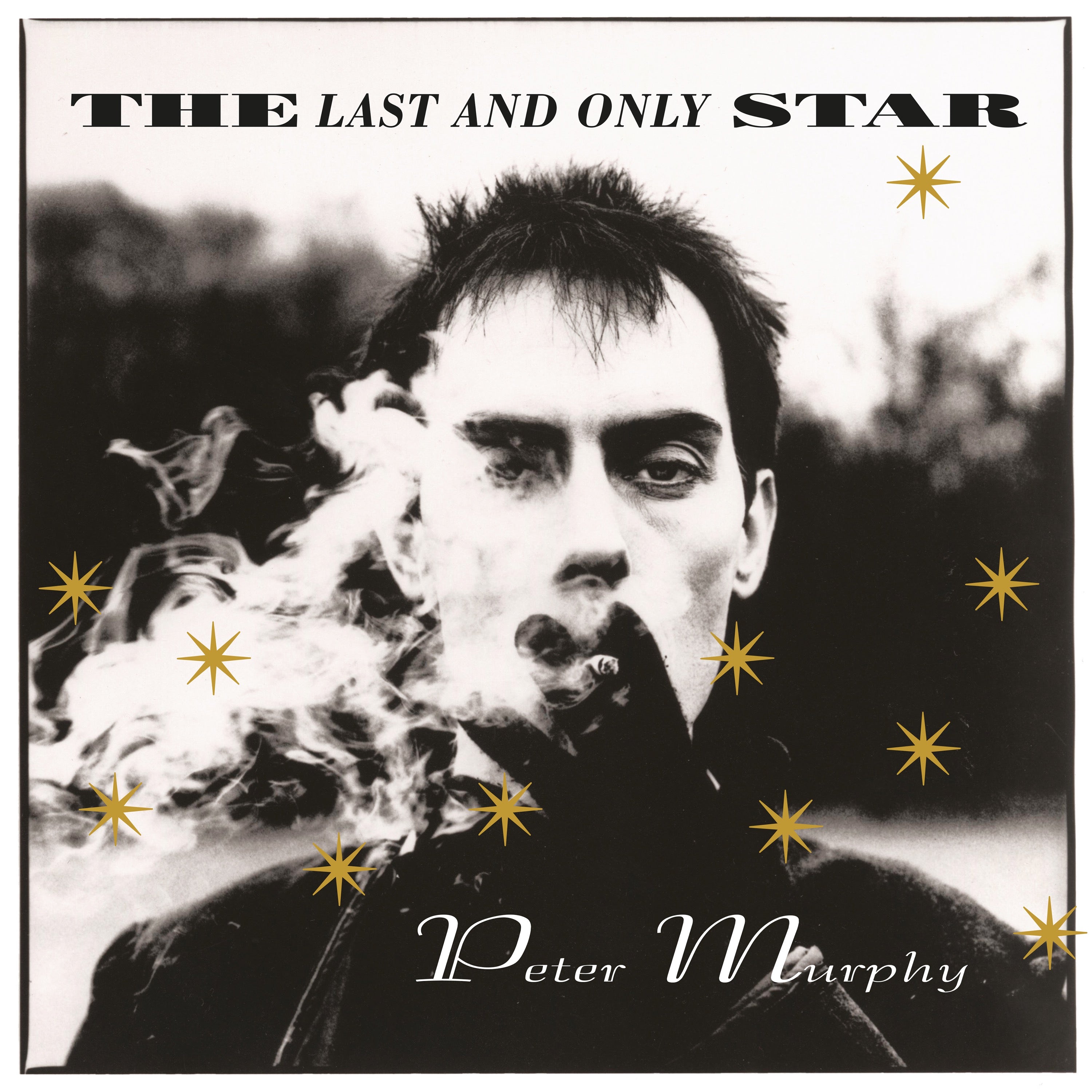 The Last and Only Star - LP
