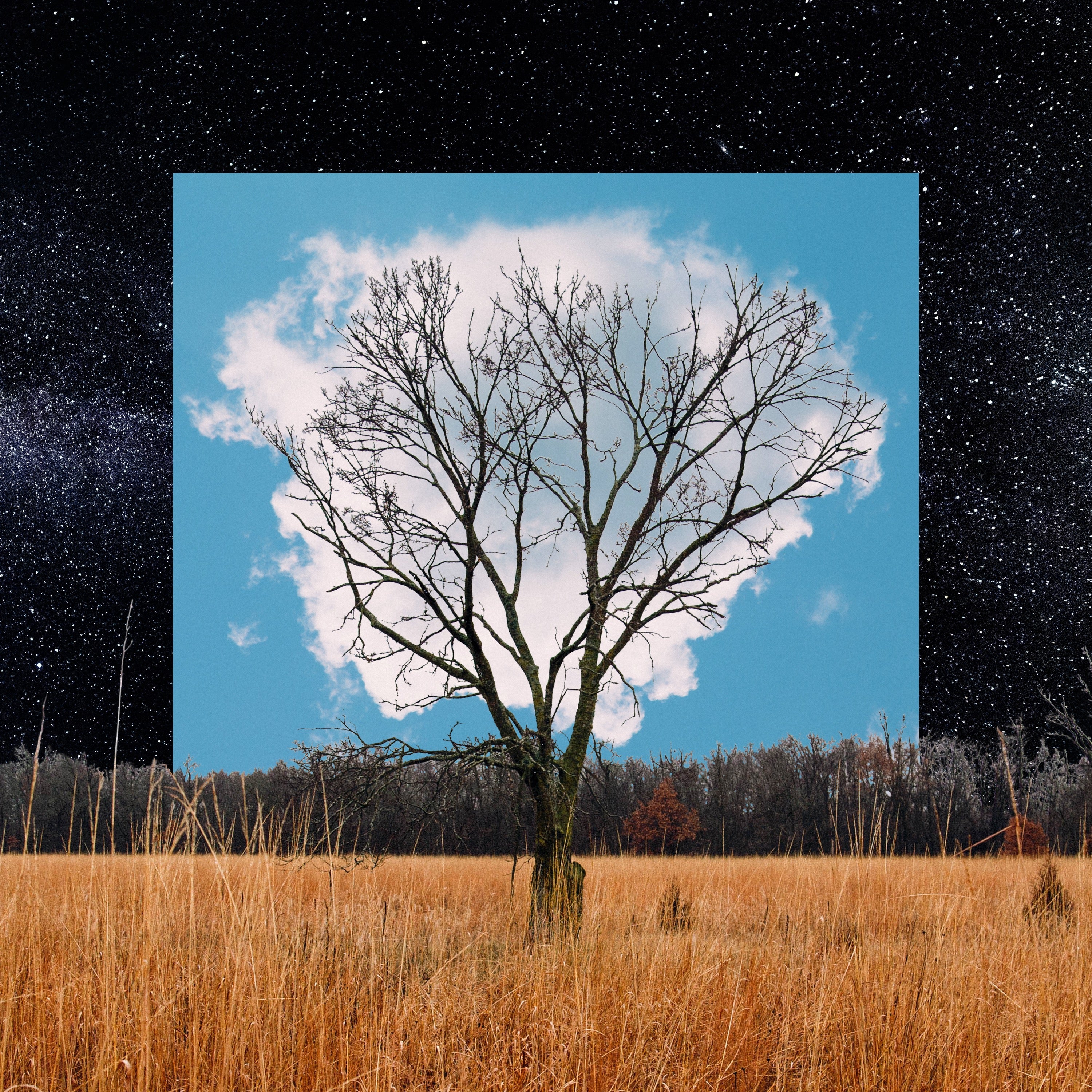 Bloom Innocent - CD
