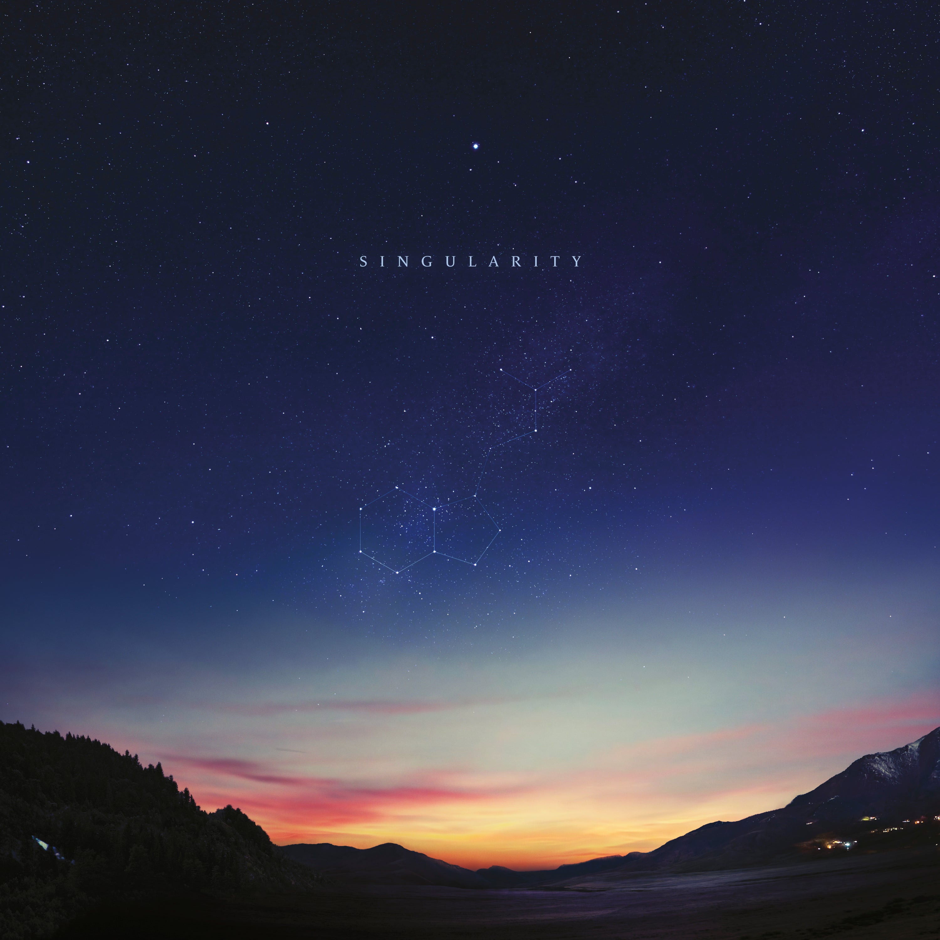 Singularity - 2xLP