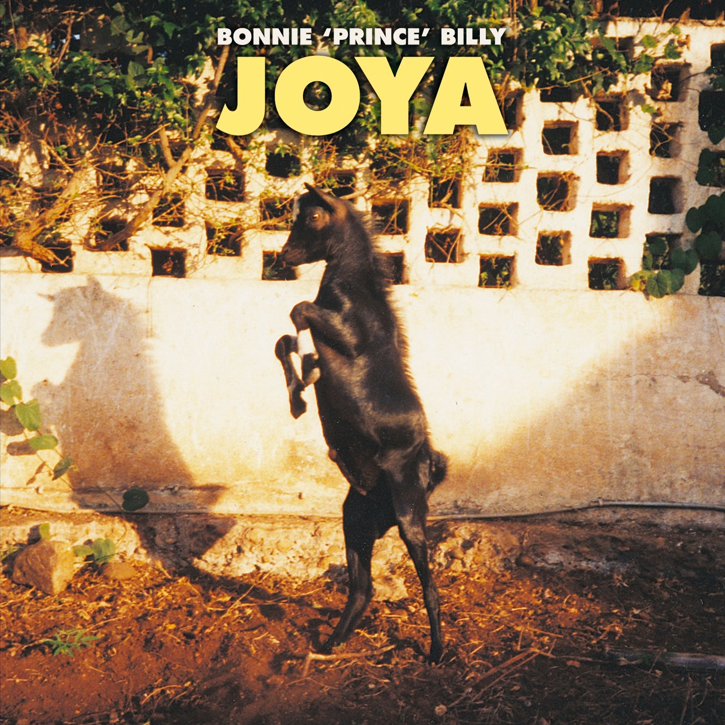 Joya - LP