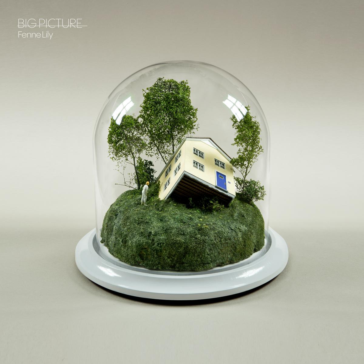 Big Picture - CD