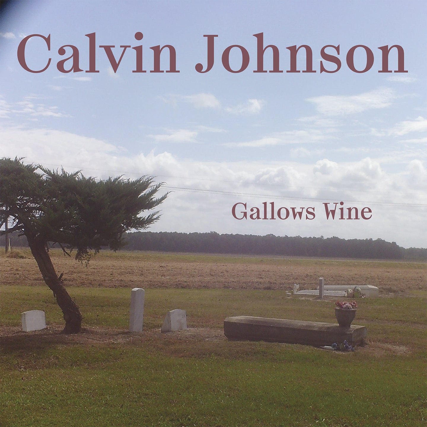 Gallows Wine - LP