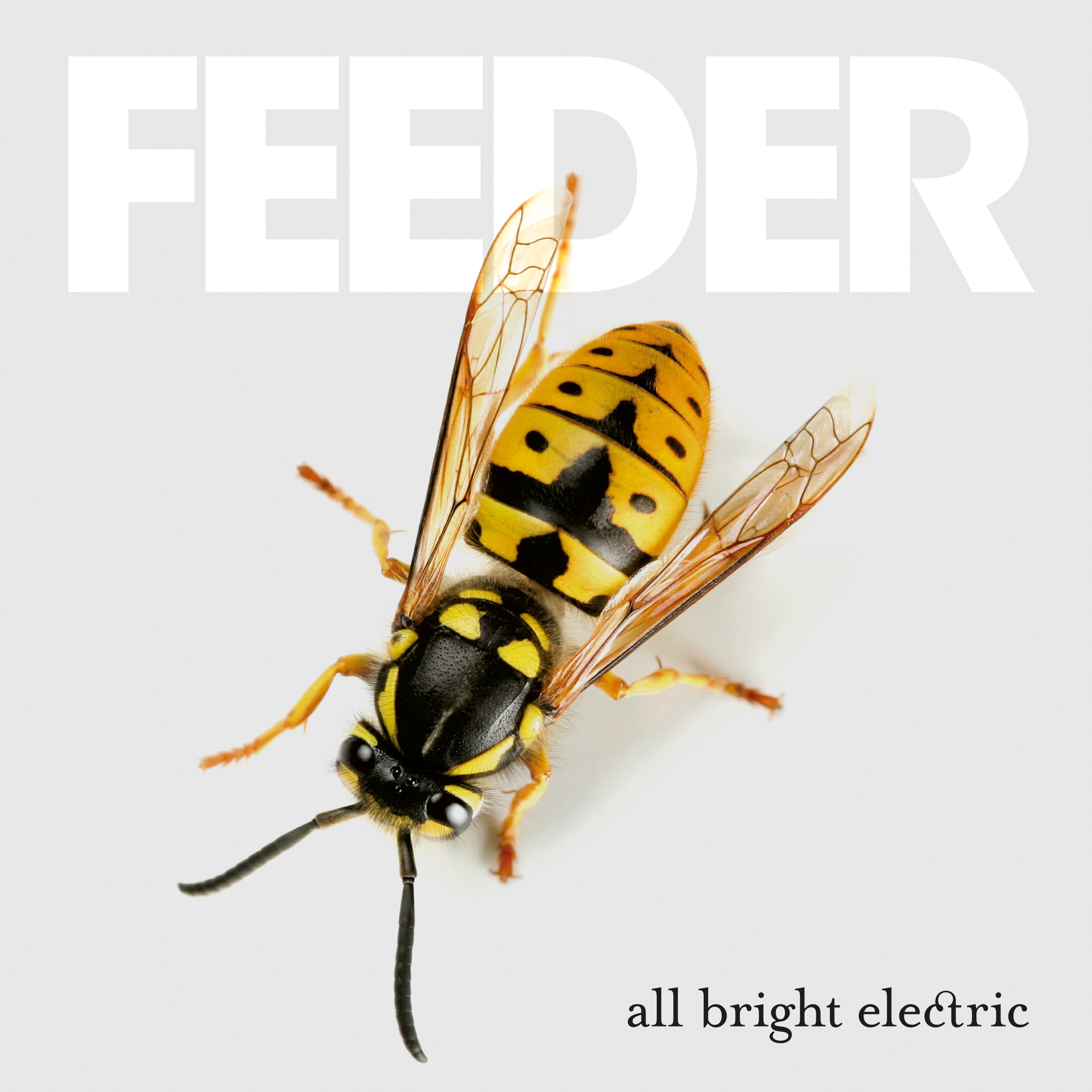All Bright Electric - 2xLP