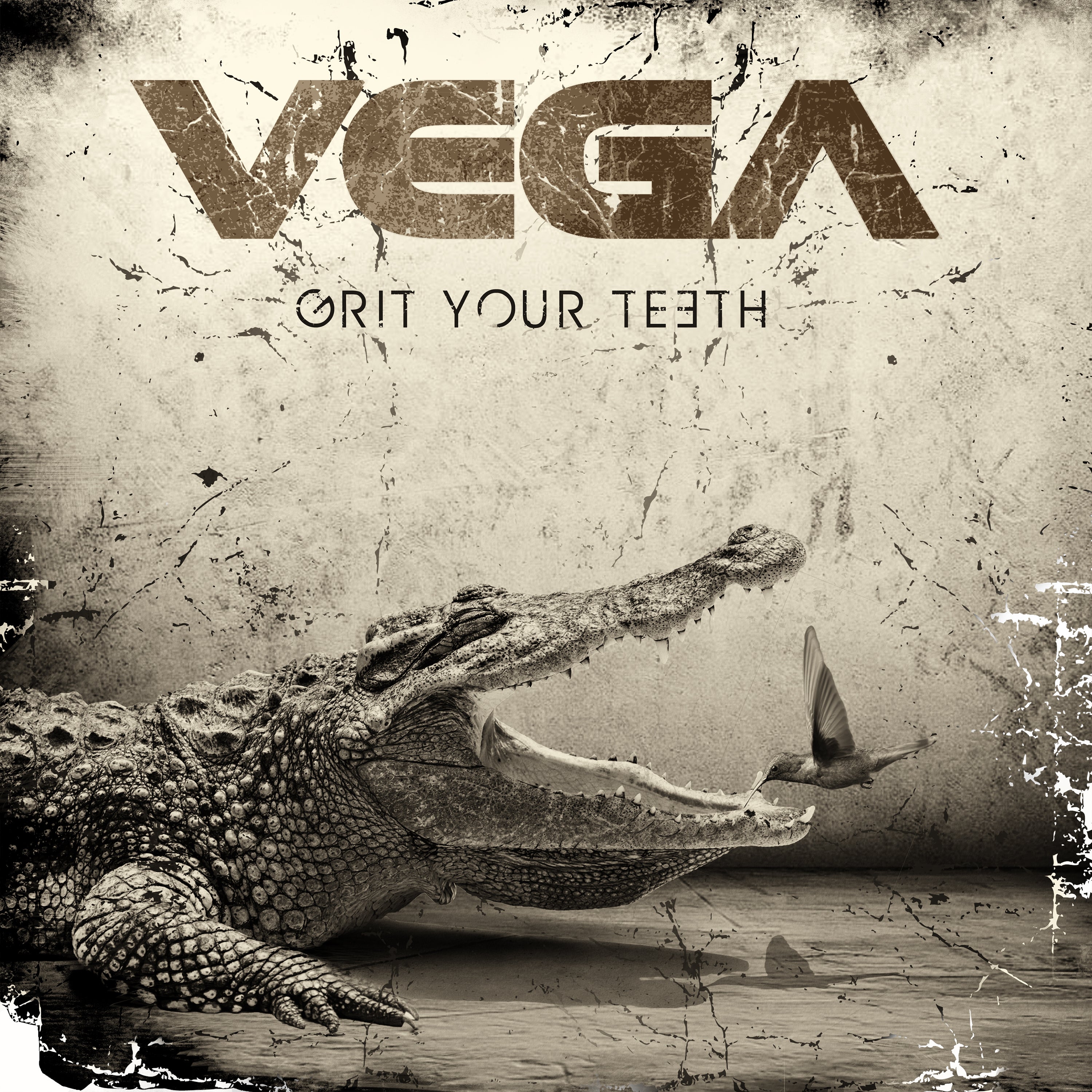 Grit Your Teeth - CD