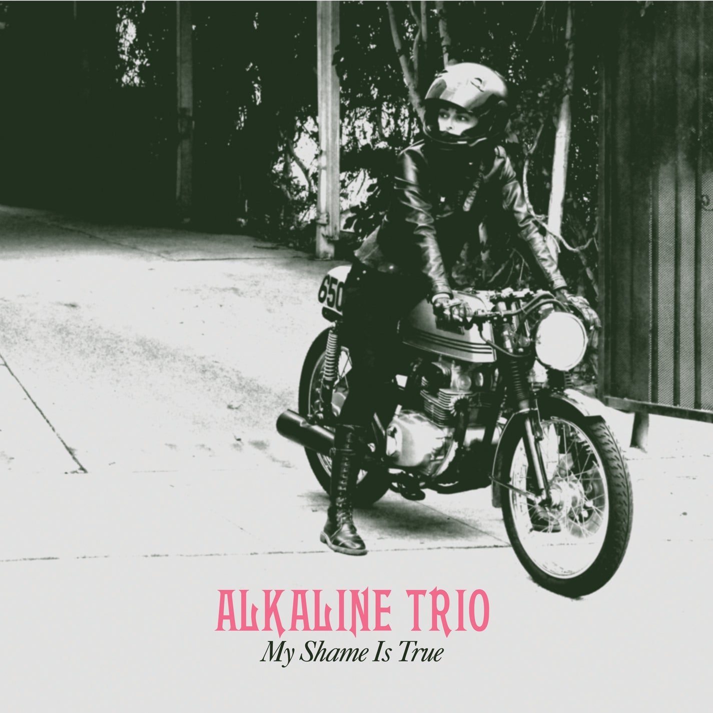 My Shame Is True - LP