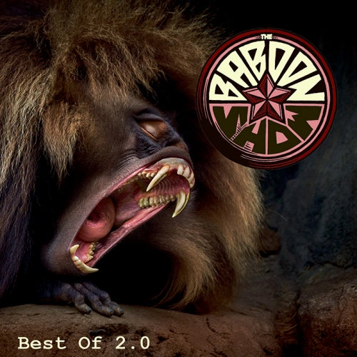 Best Of 2.0 - CD