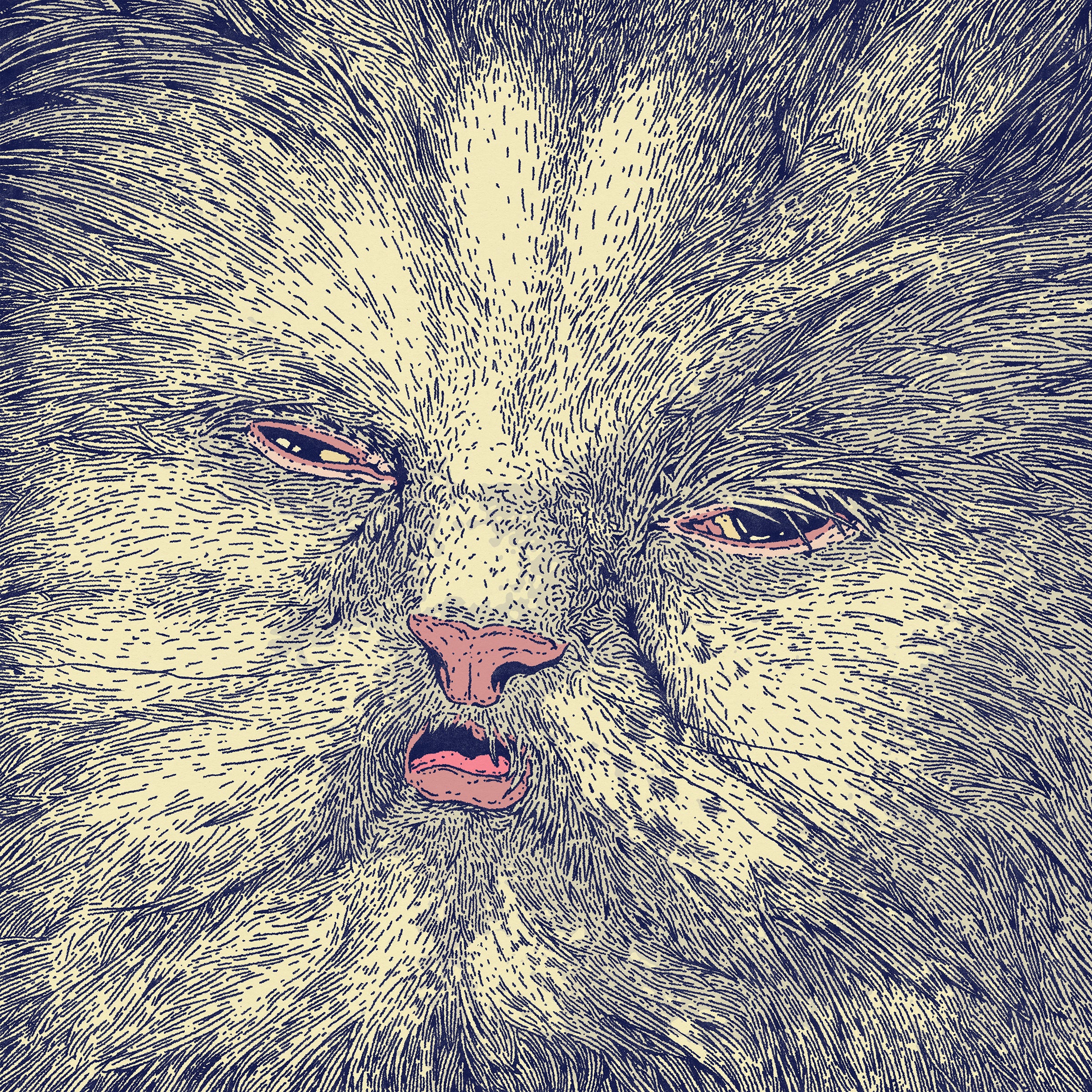 Mimi - LP