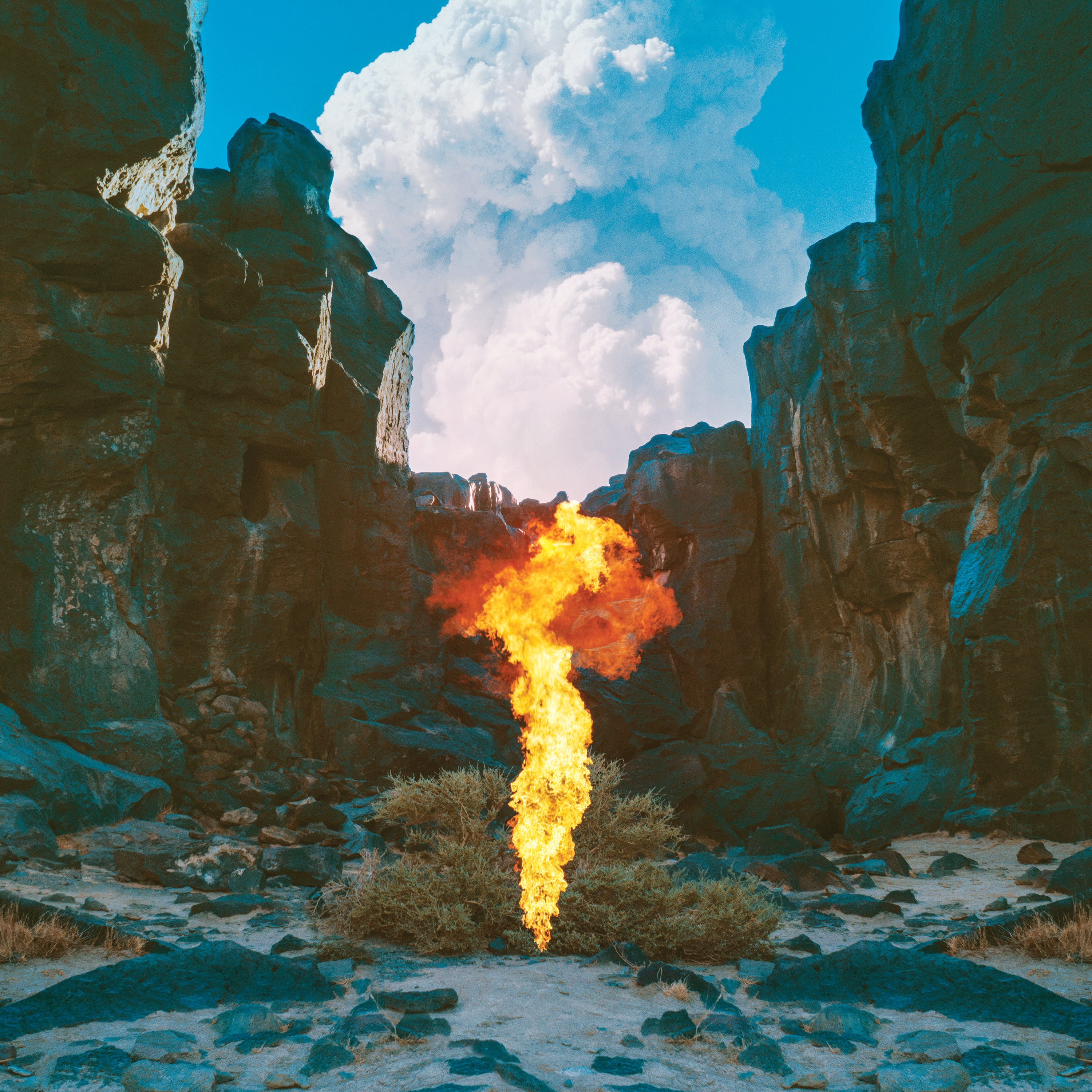 Migration - 2xLP