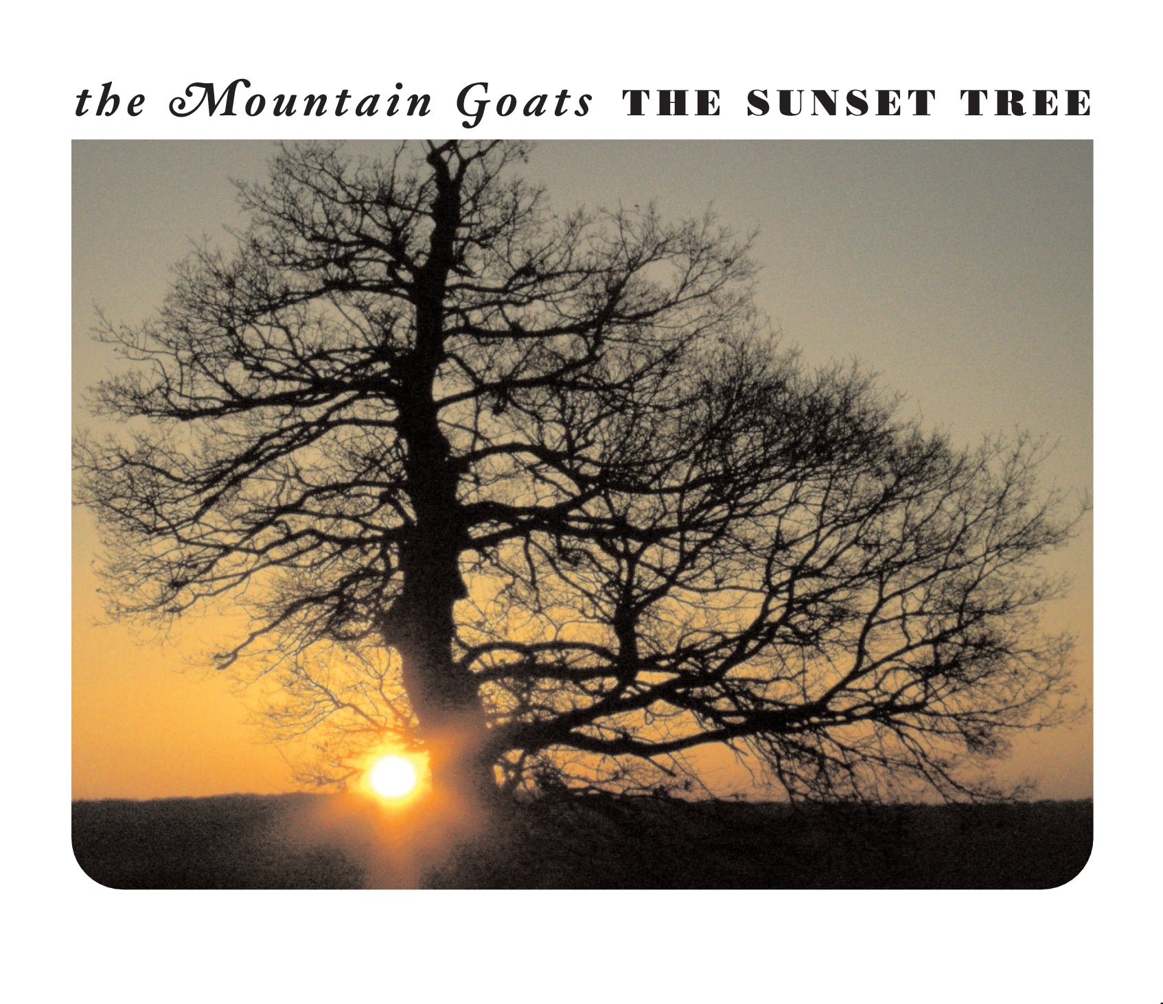The sunset tree - LP