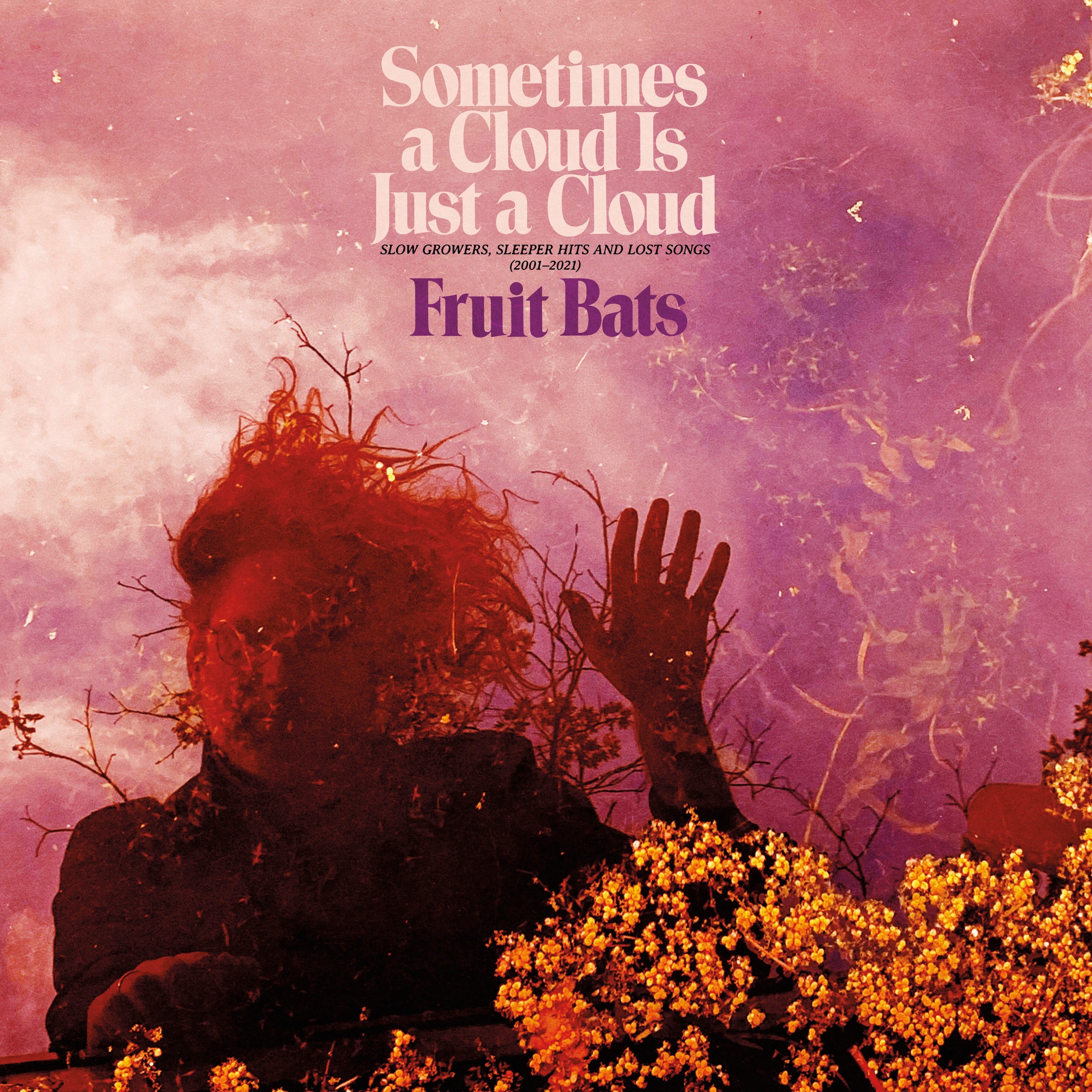 Sometimes a Cloud Is Just a Cloud: Slow Growers, Sleeper Hits and Lost Songs (2001-2021) - 2xLP