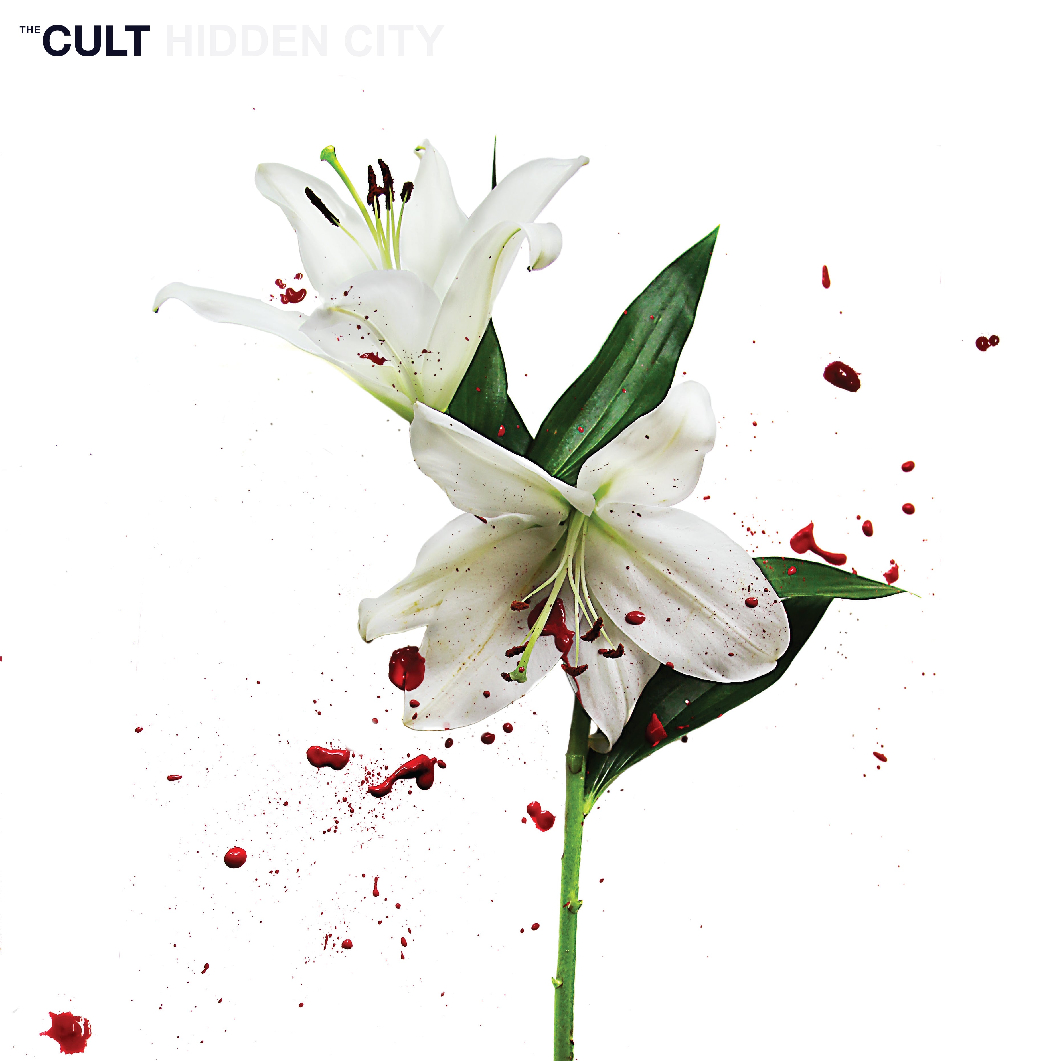Hidden City - 2xLP