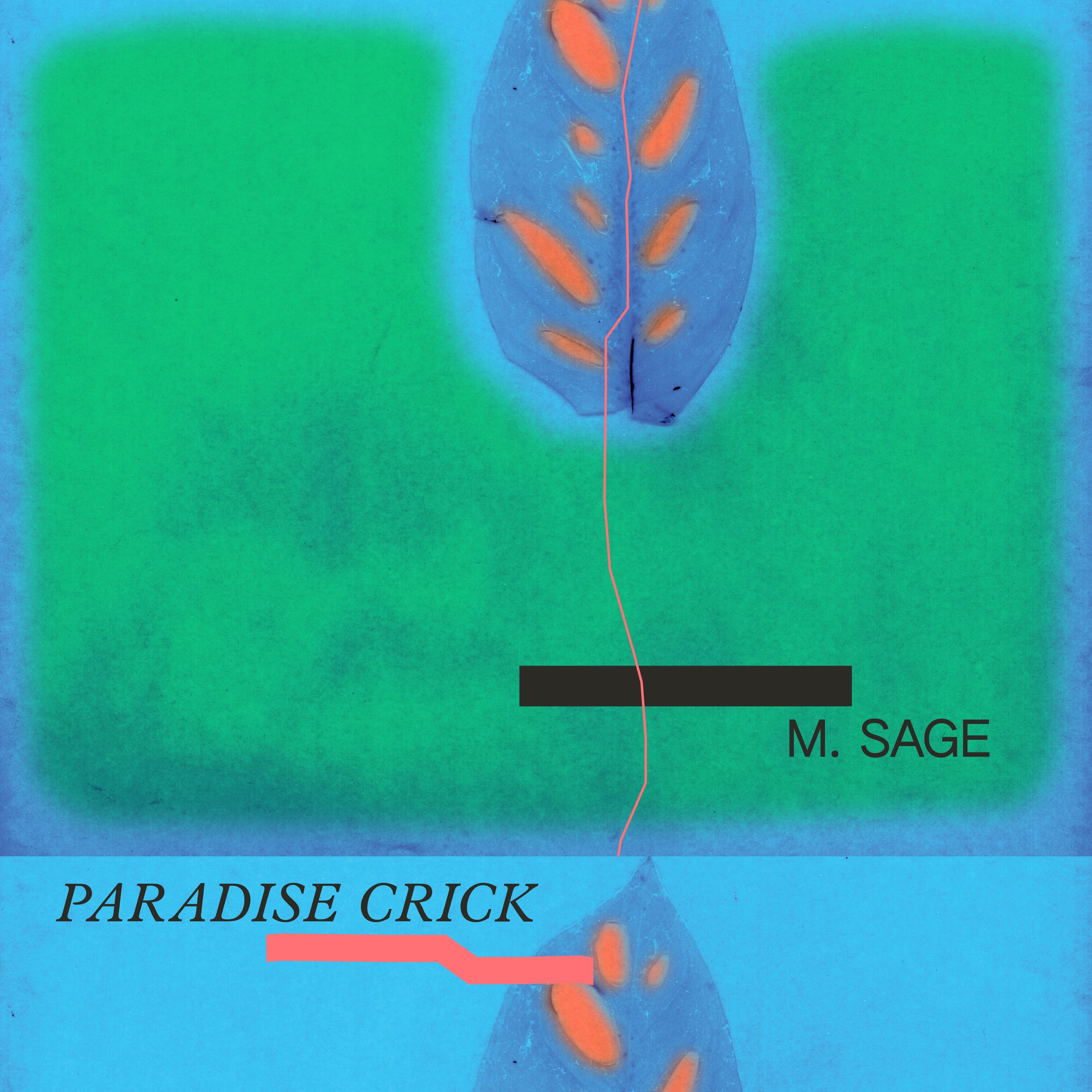 Paradise Crick - LP