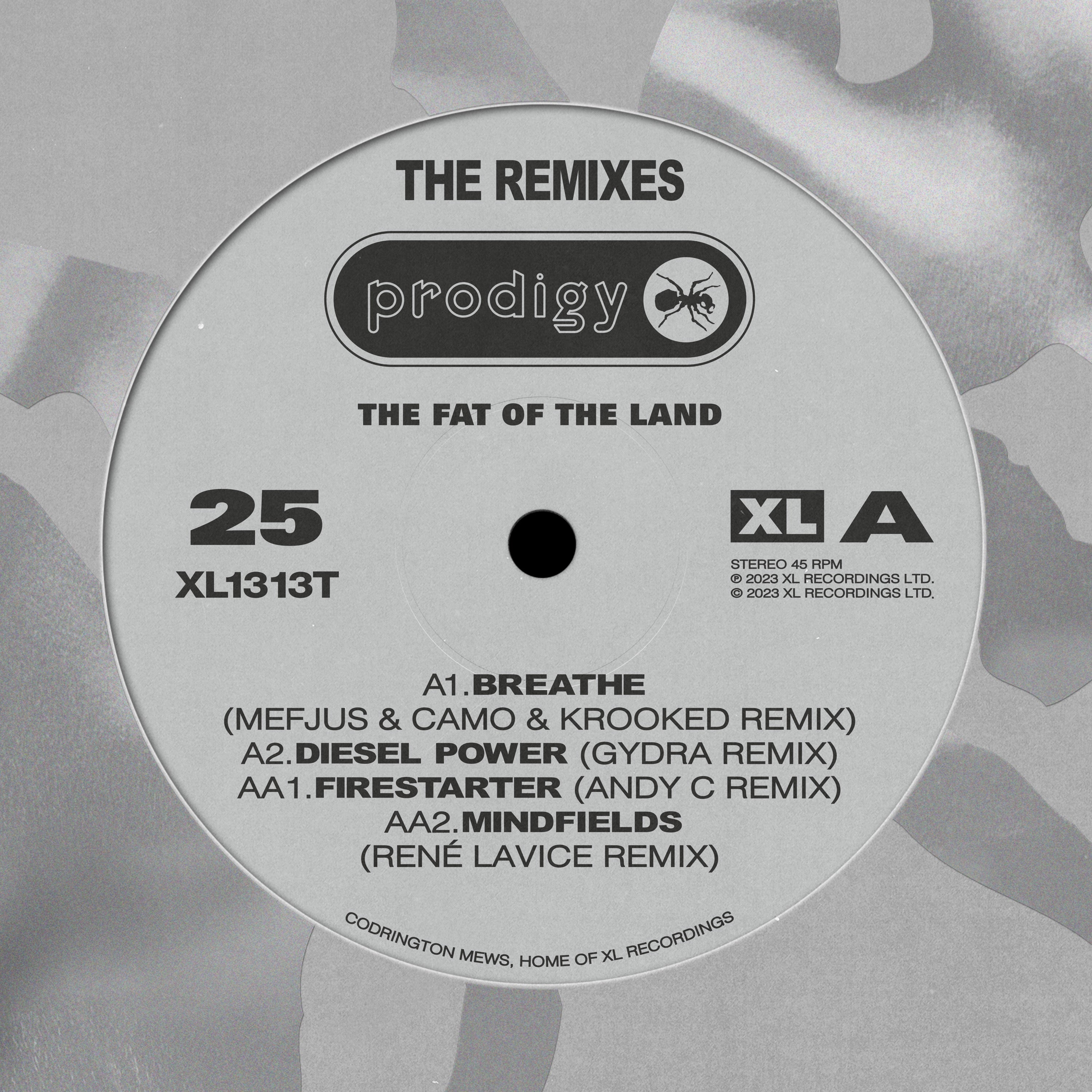 Fat Of The Land Remixes - 12