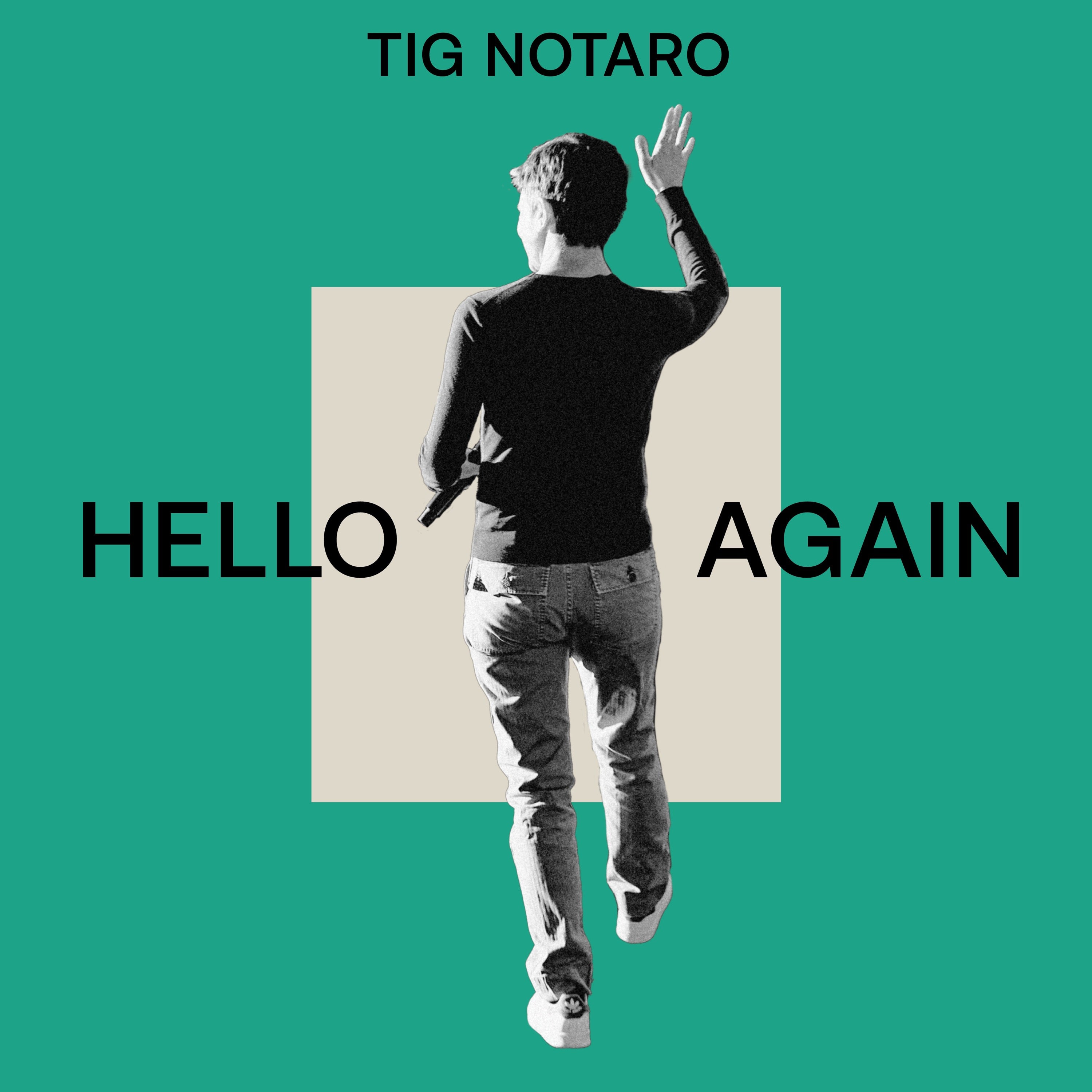 Hello Again - LP