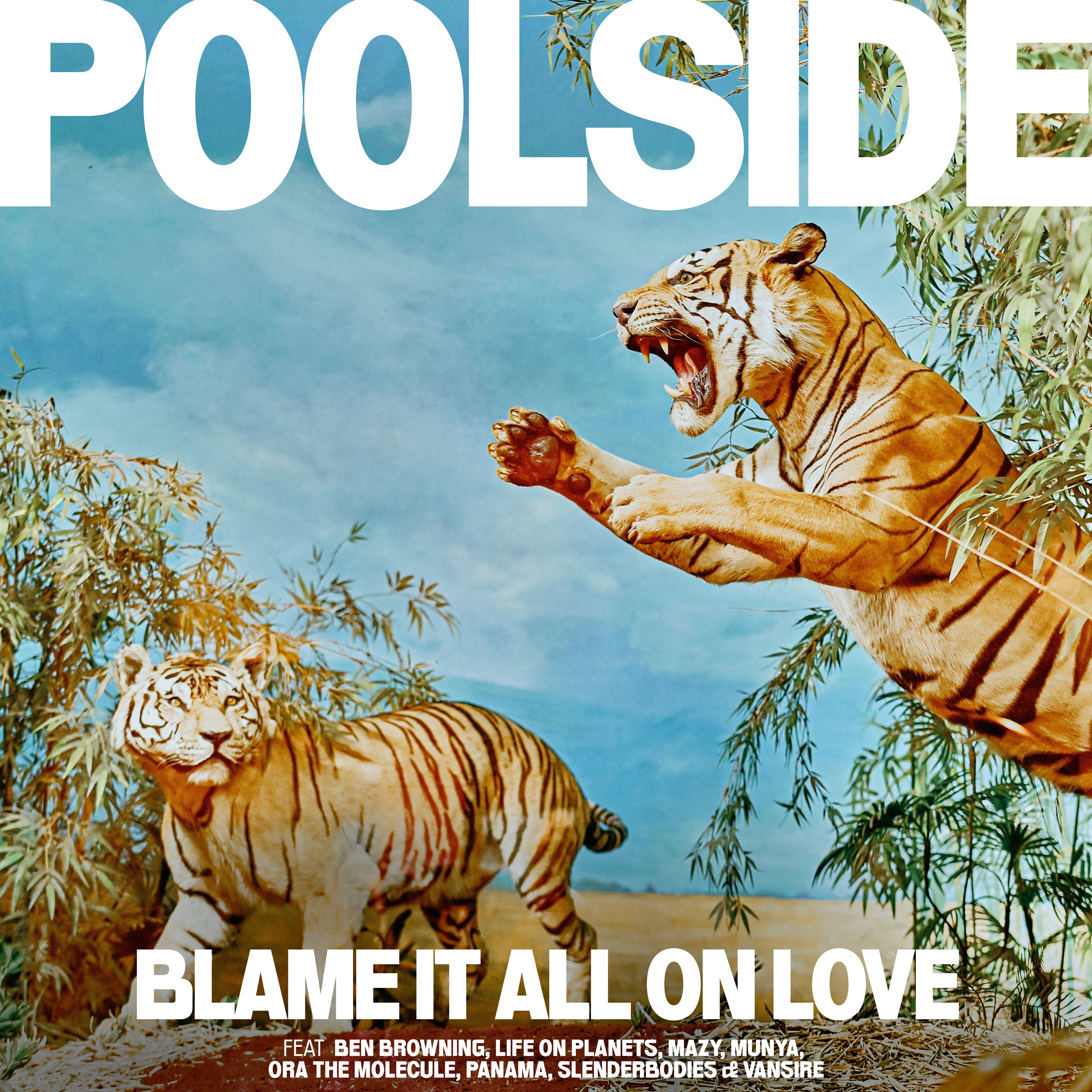 Blame It All On Love - LP