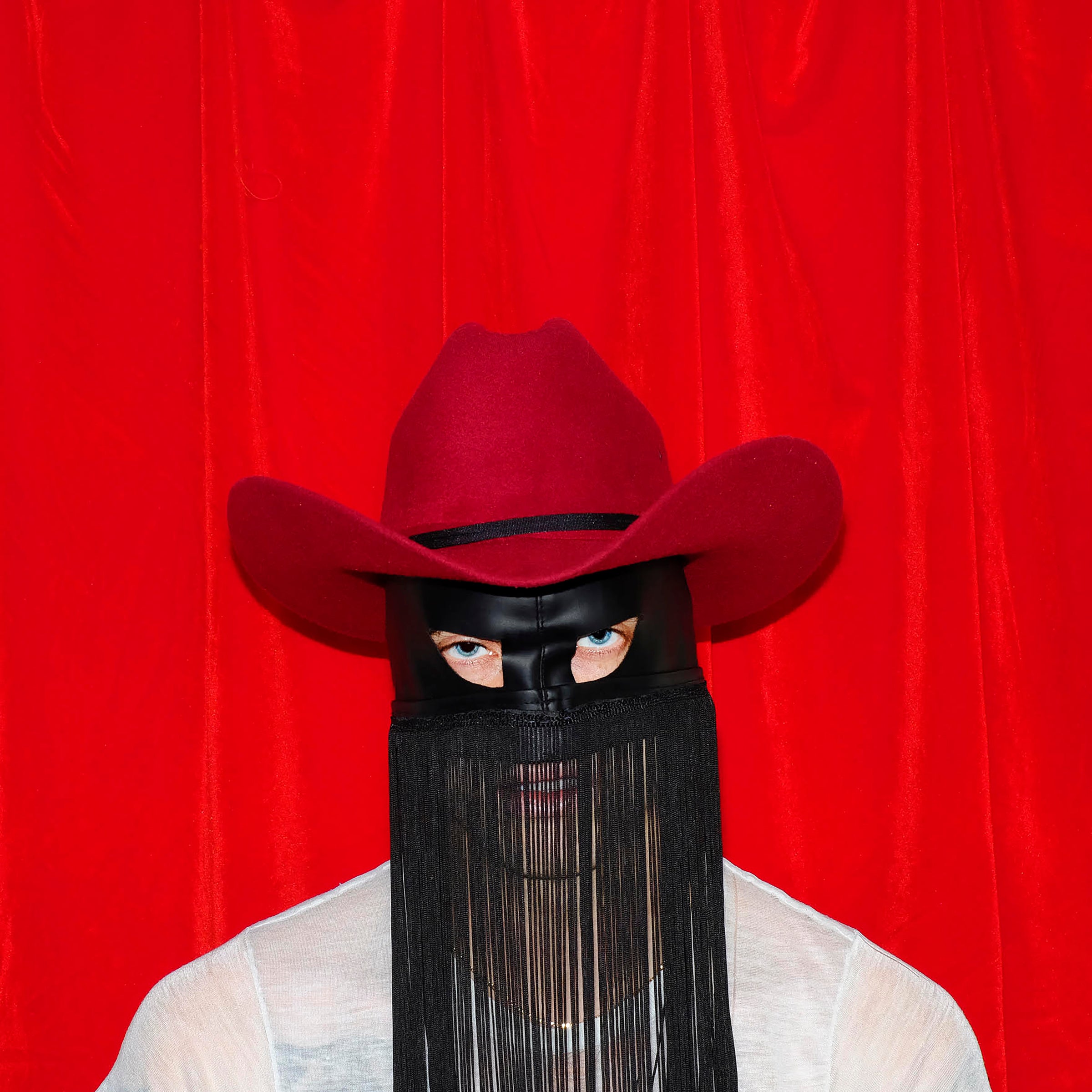 Pony - LP
