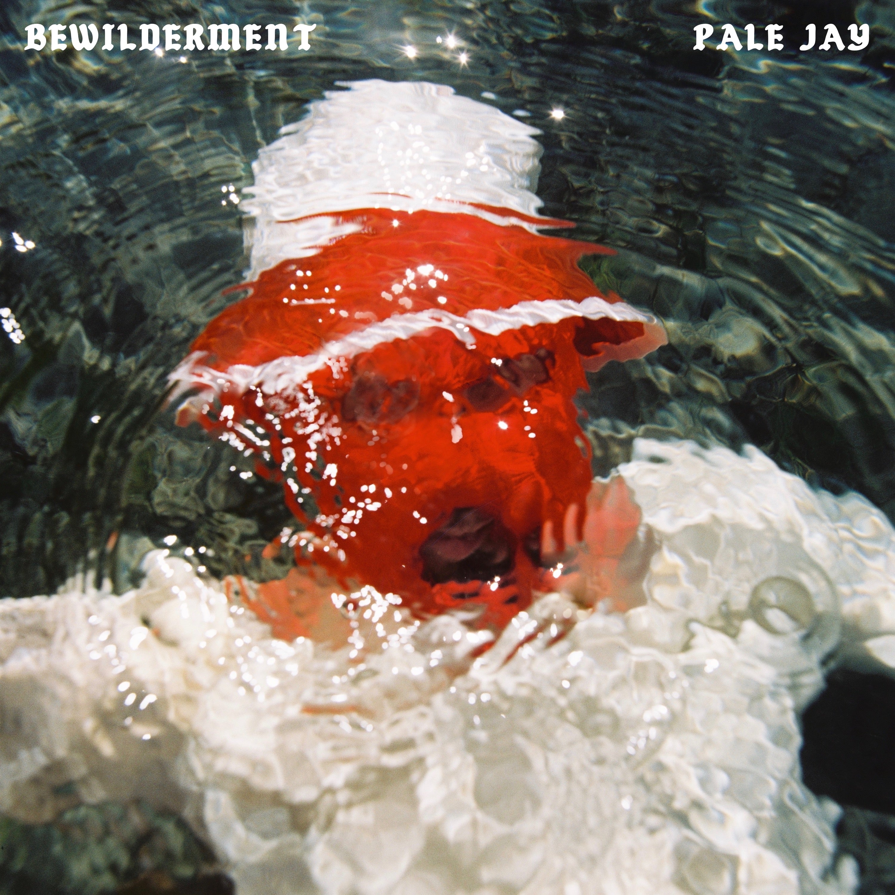Bewilderment - CD