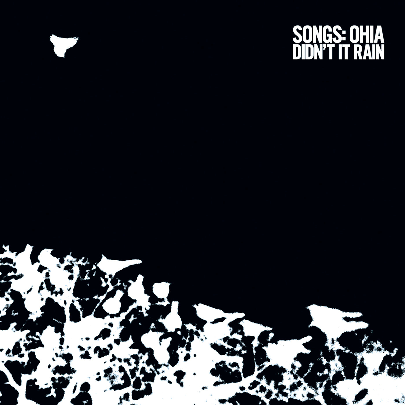 Didn't It Rain - 2xCD
