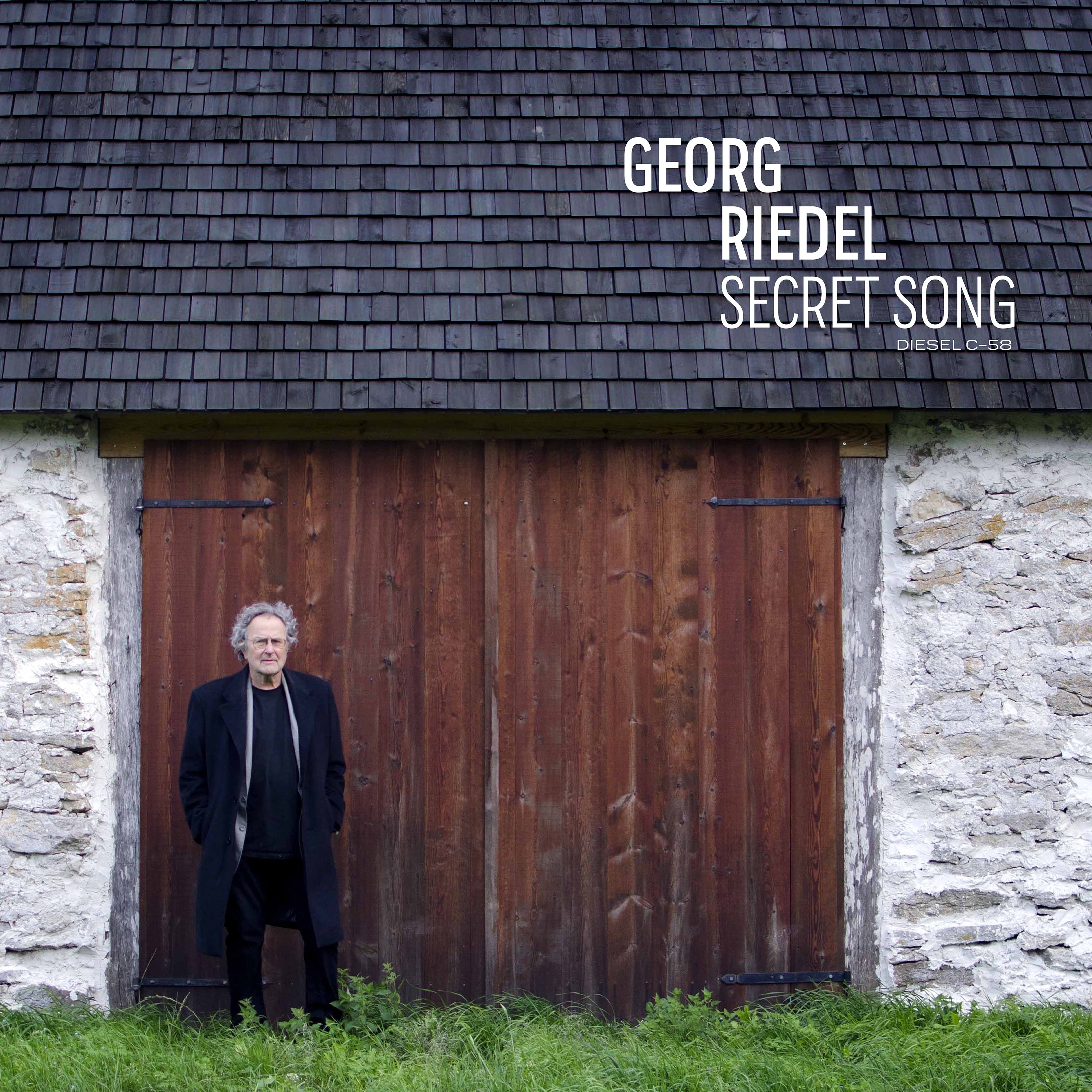 Secret Song - LP