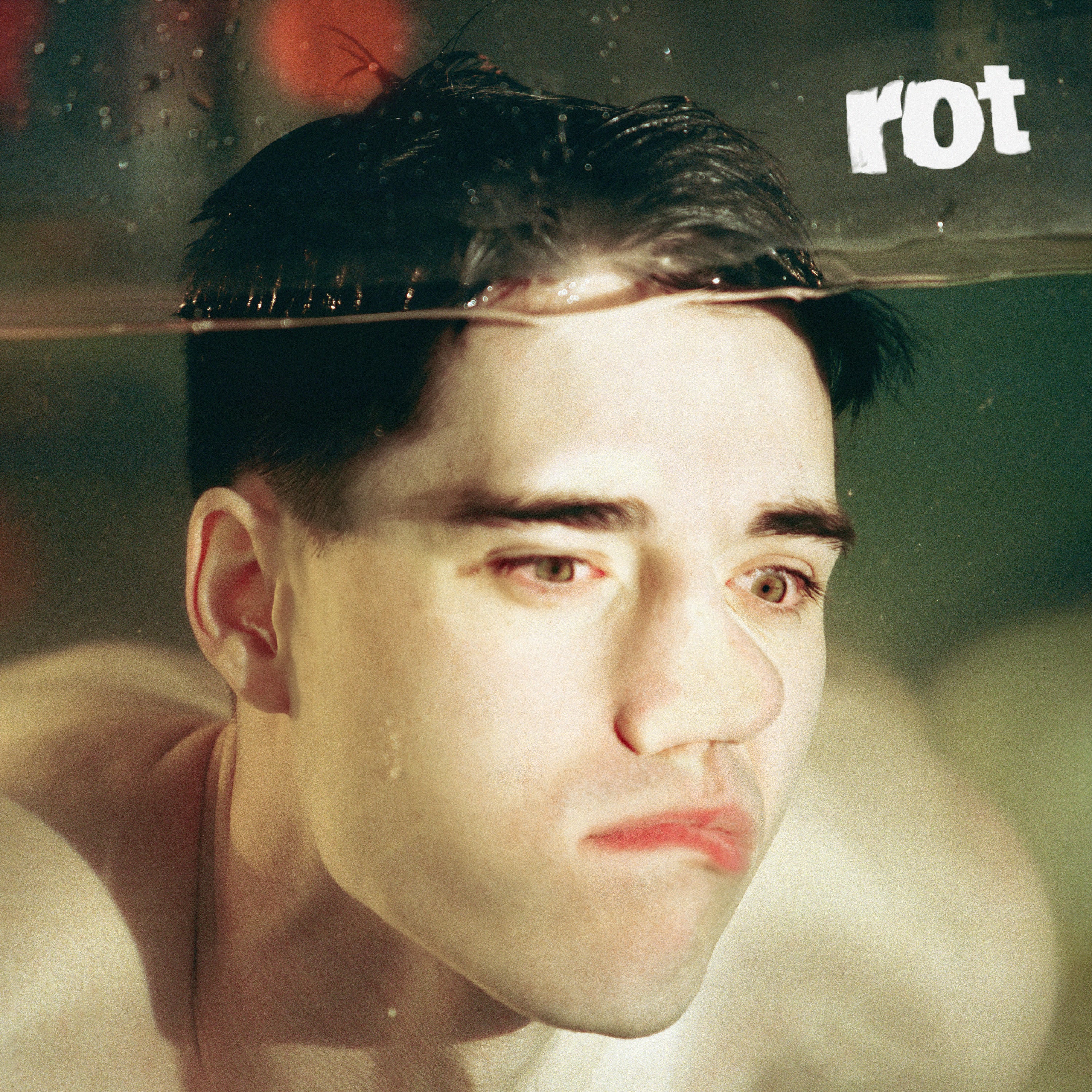 Rot - LP