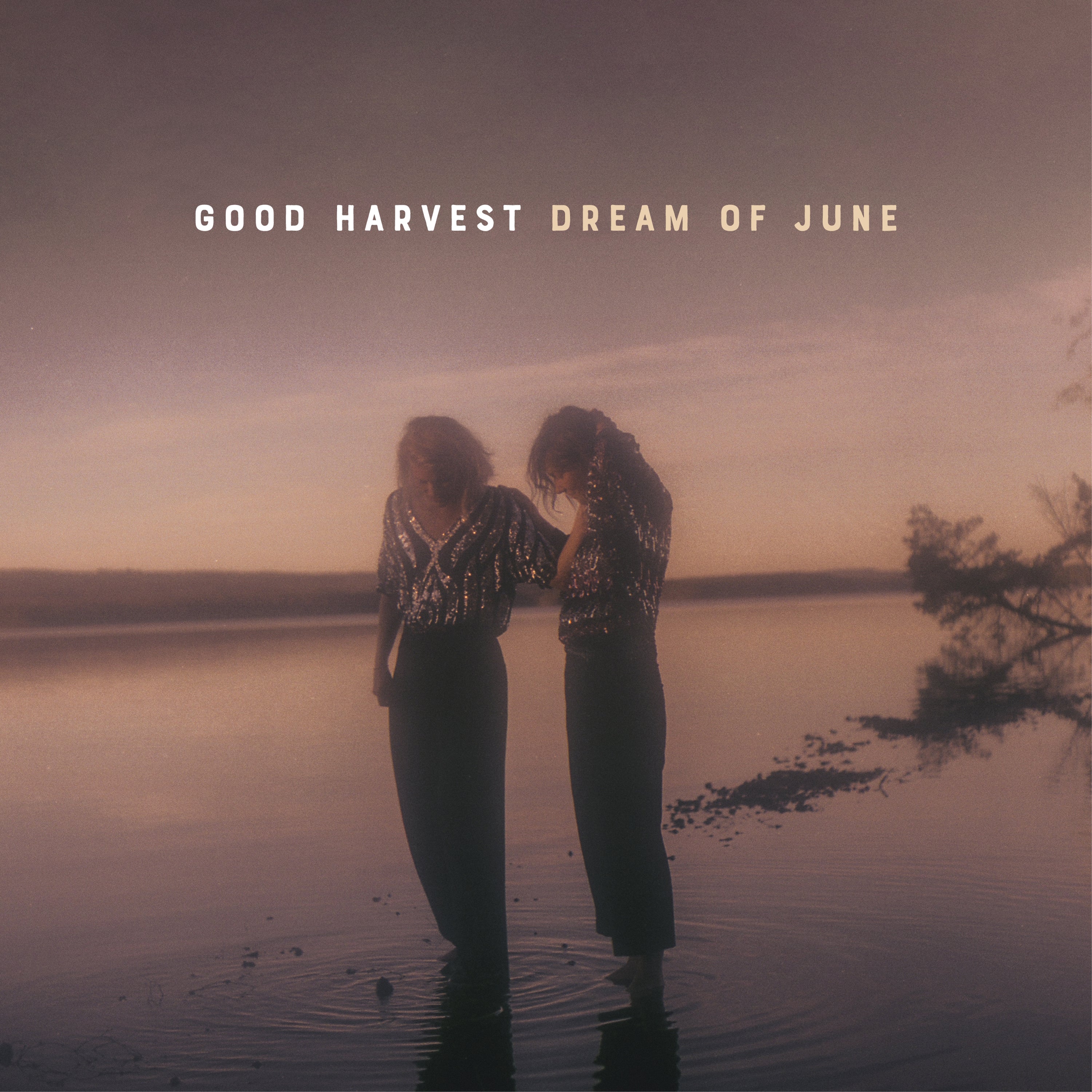 Dream of June - LP