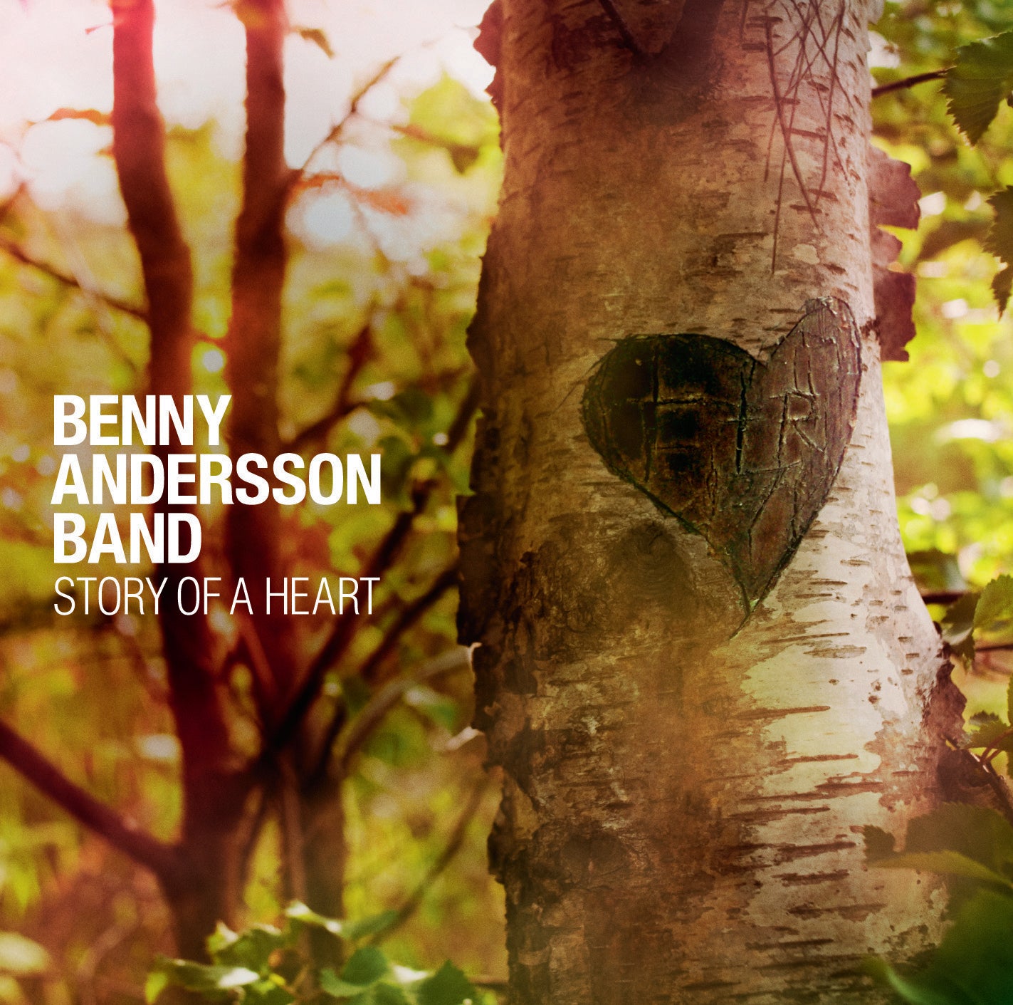 Story of a Heart - CD