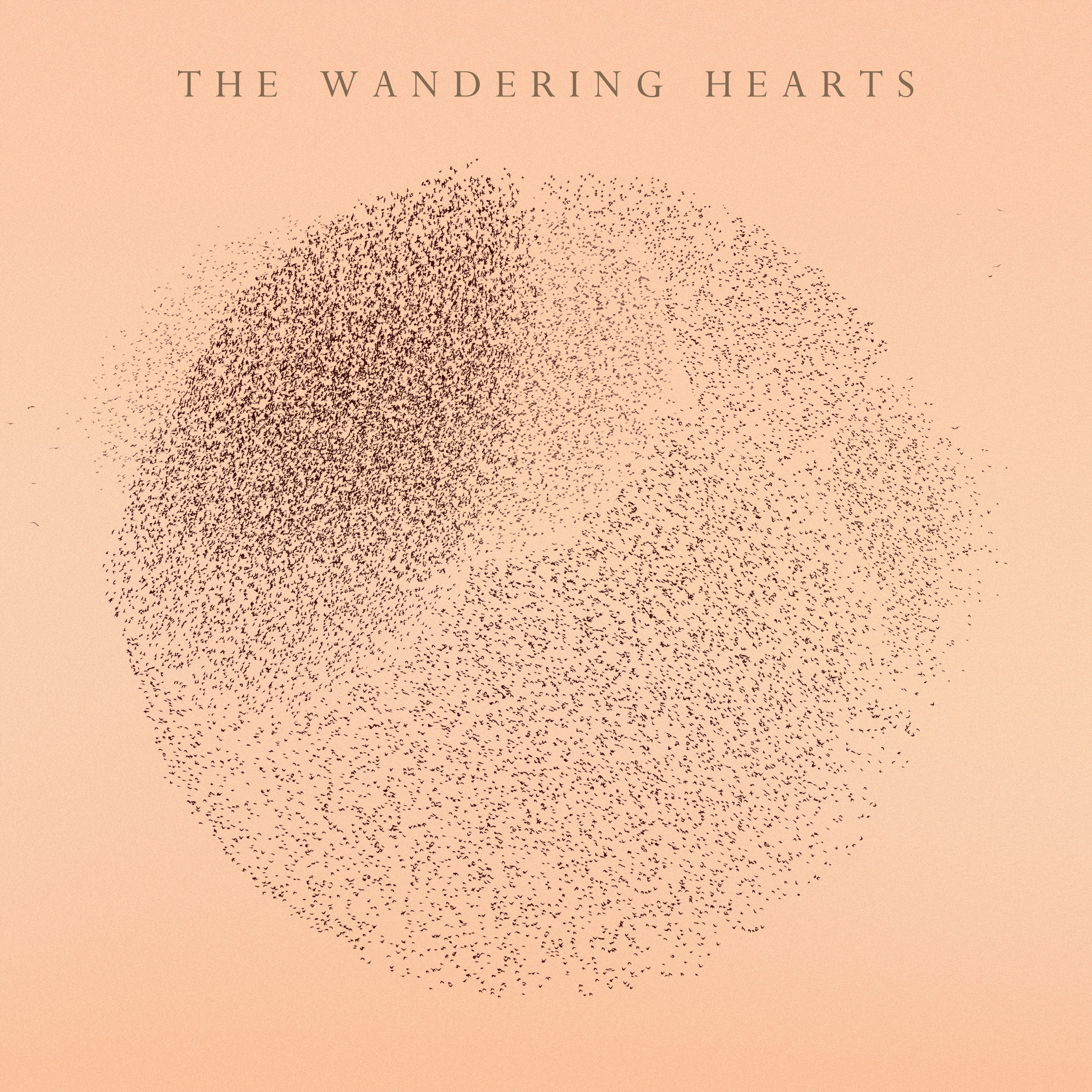 The Wandering Hearts - CD