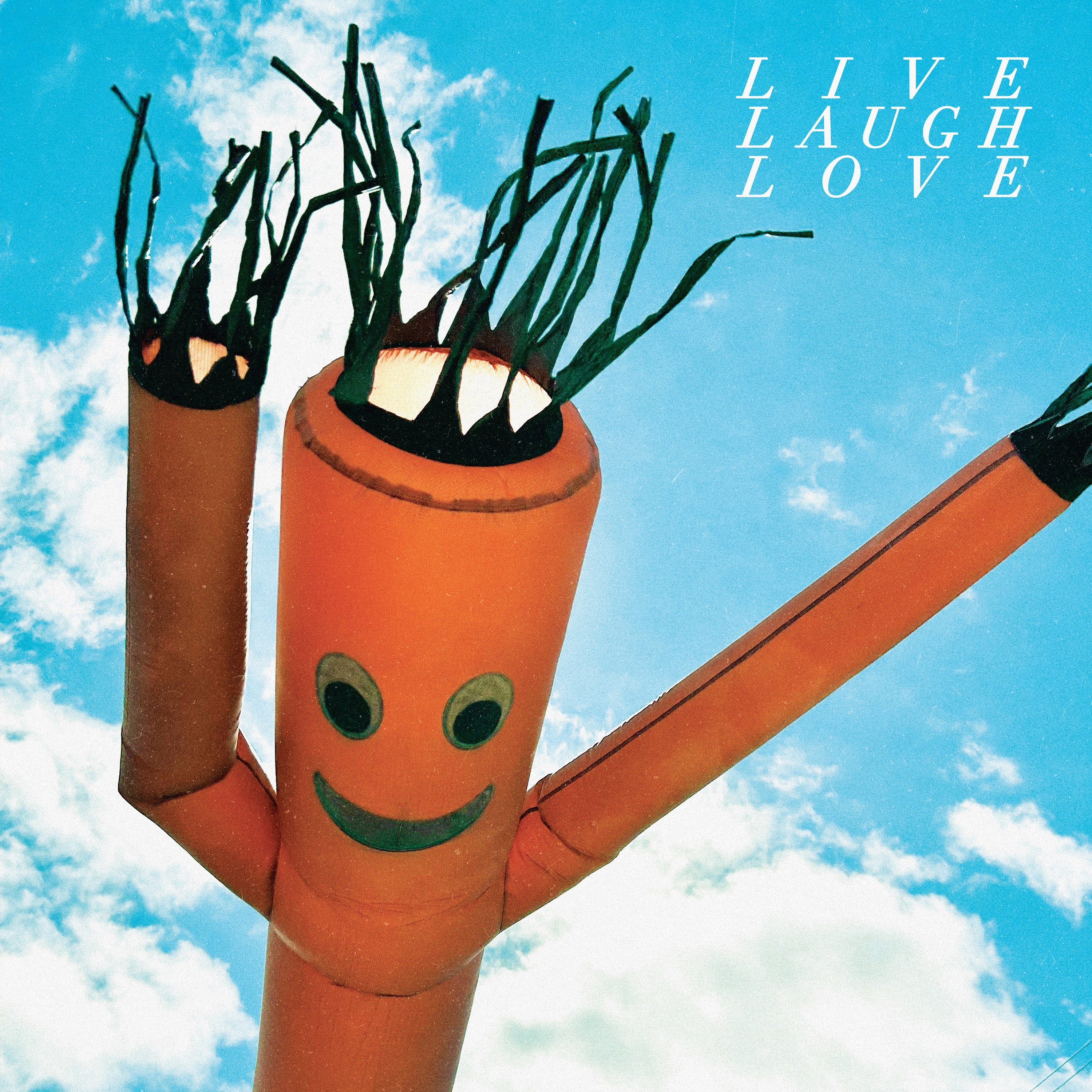 Live Laugh Love - LP