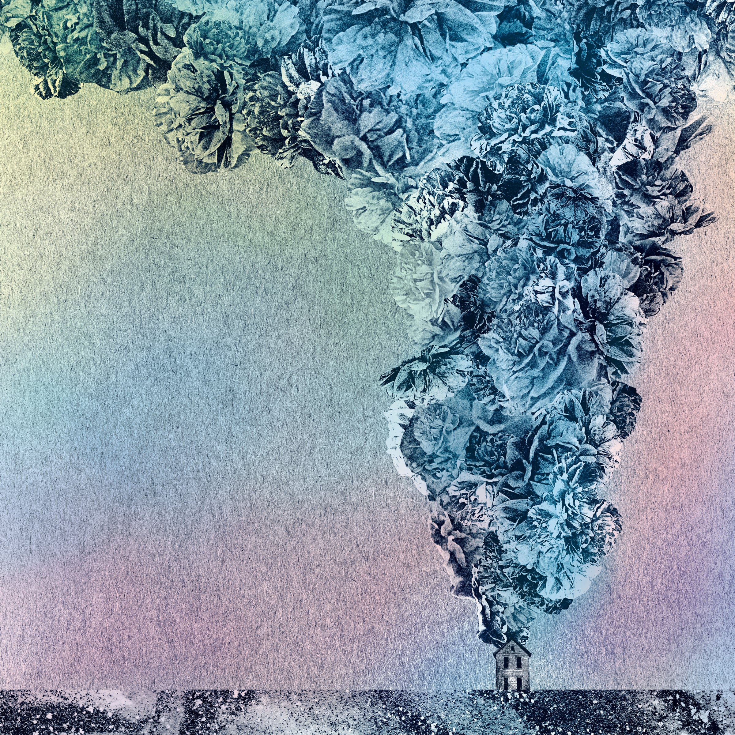 Carnation - LP