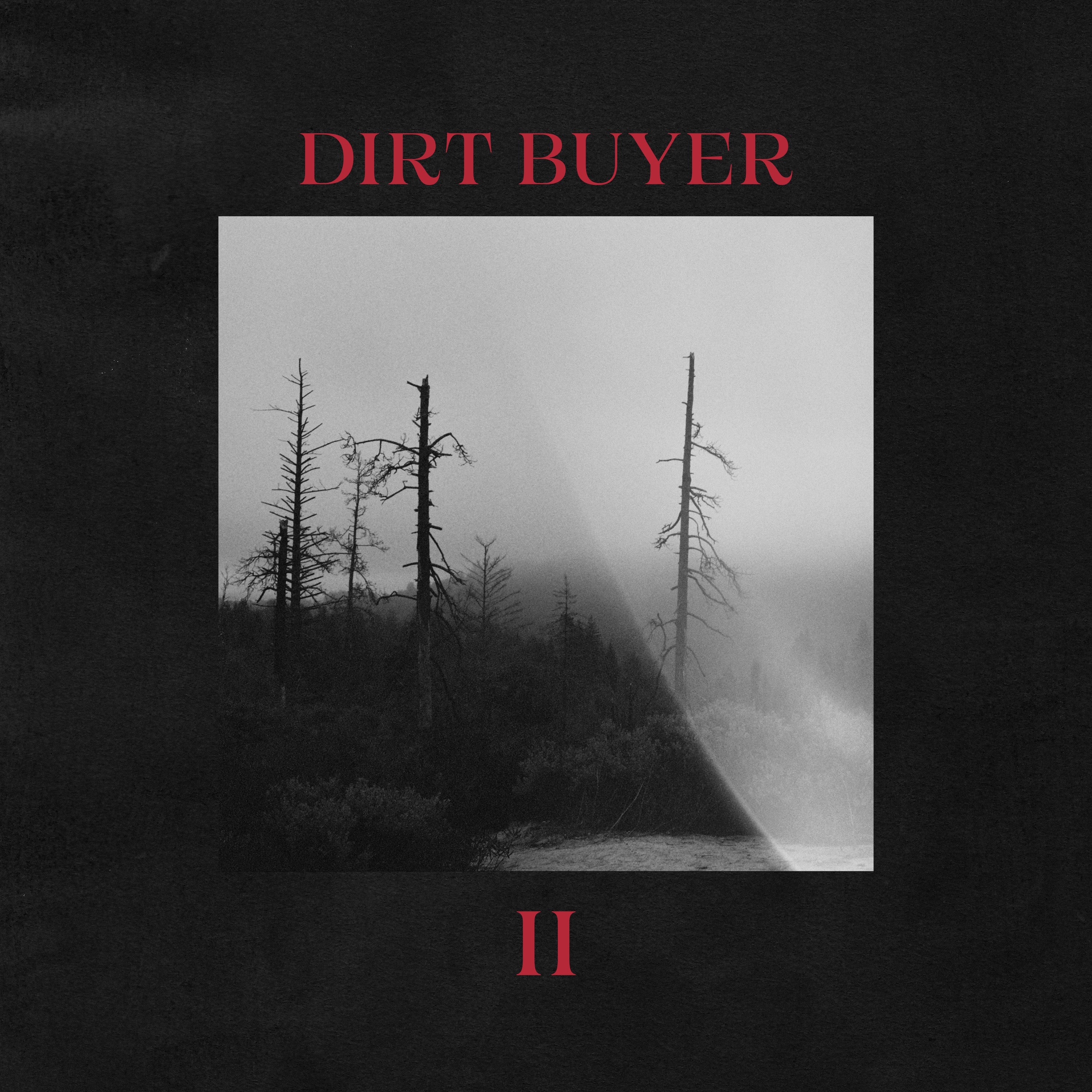 Dirt Buyer II - LP