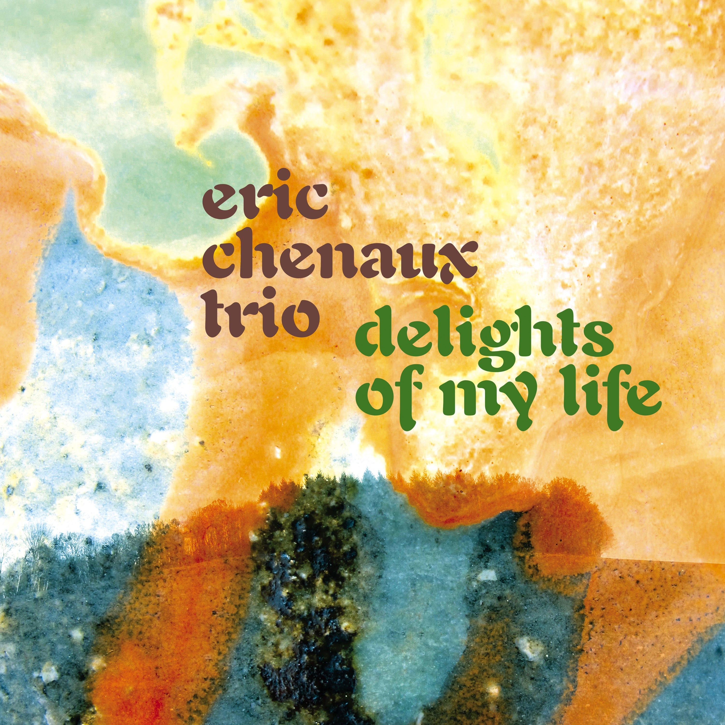 Delights Of My Life - LP
