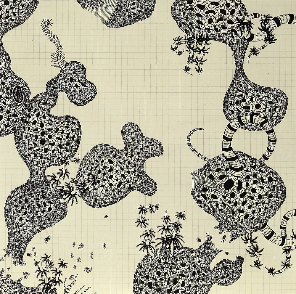 Wincing The Night Away - LP