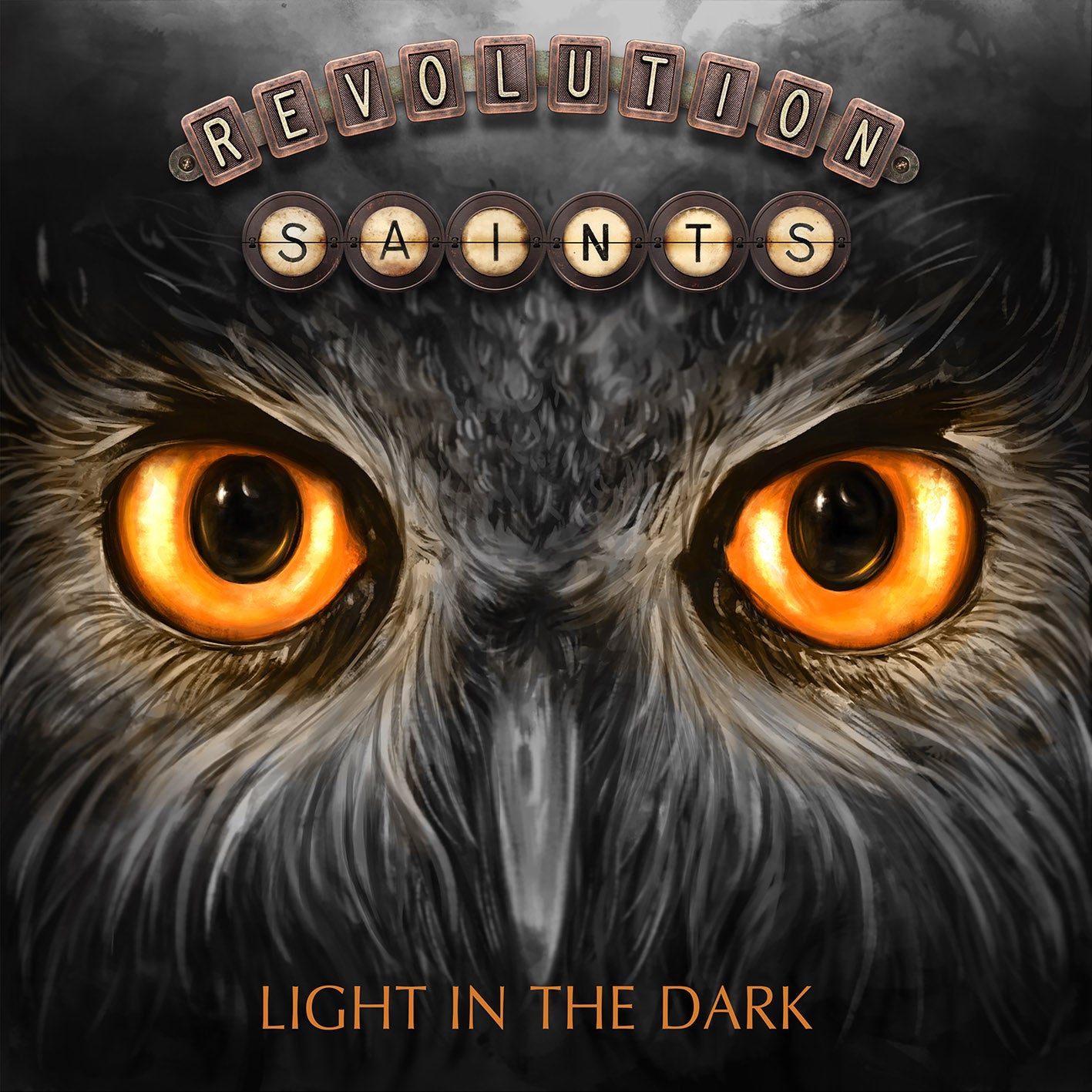 Light In The Dark - CD,DVD