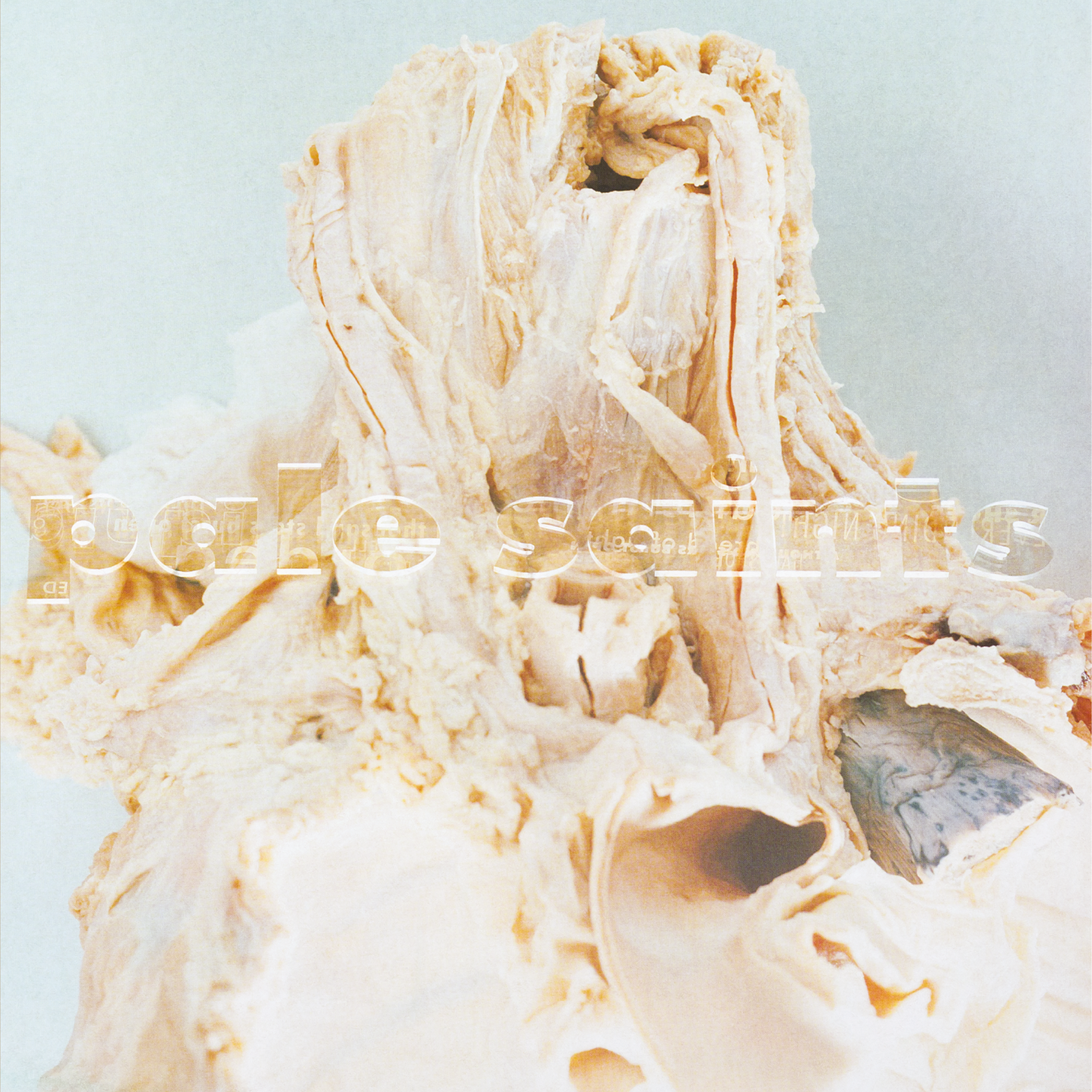 In Ribbons - 2xLP