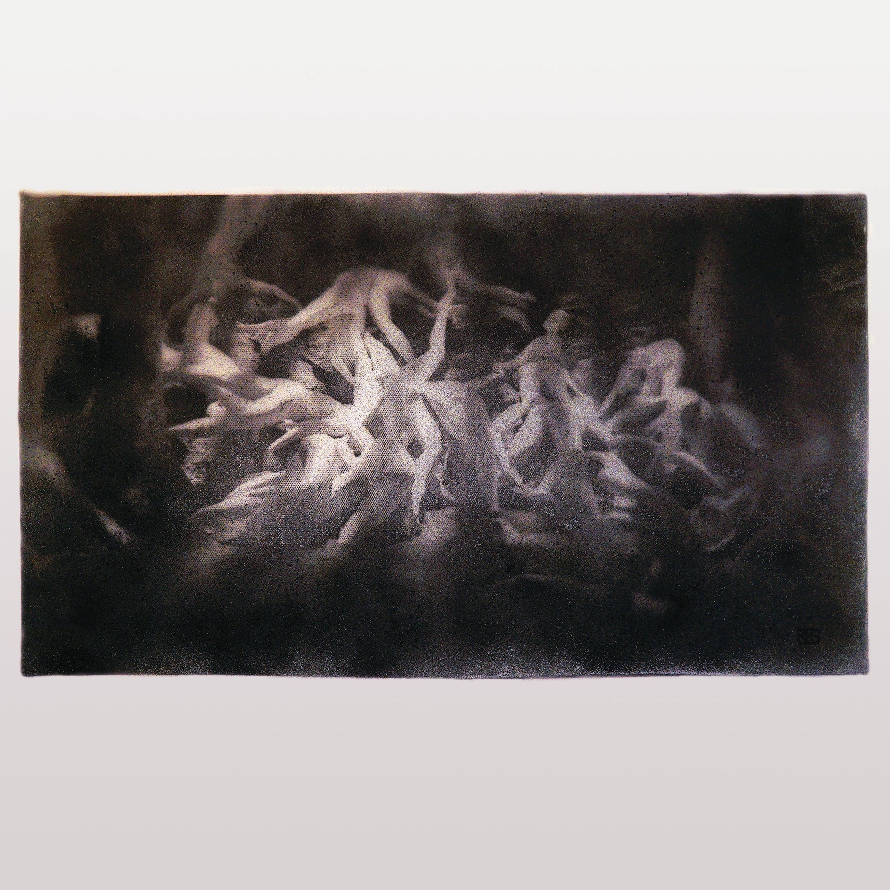 Swarmlife - 2xLP