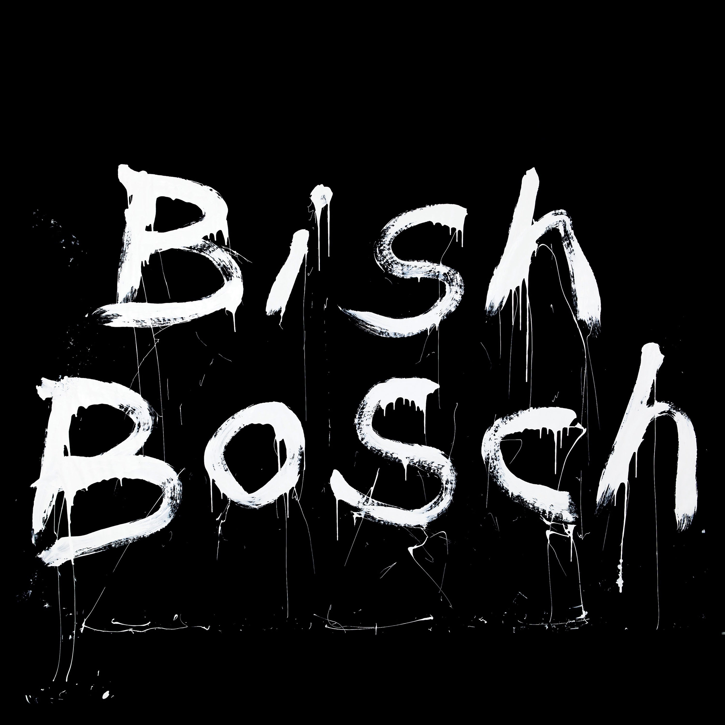 Bish Bosch - CD