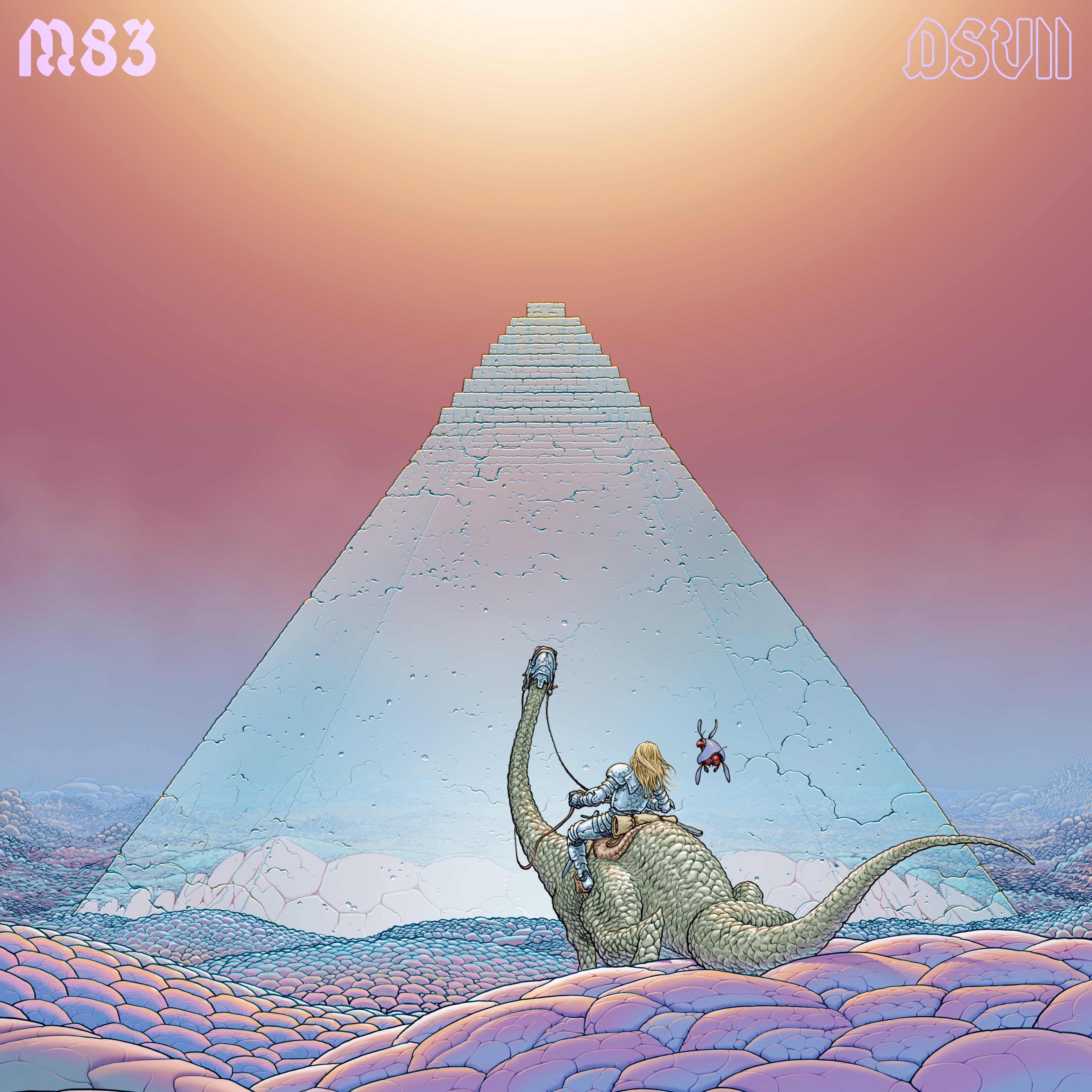 DSVII - 2xLP