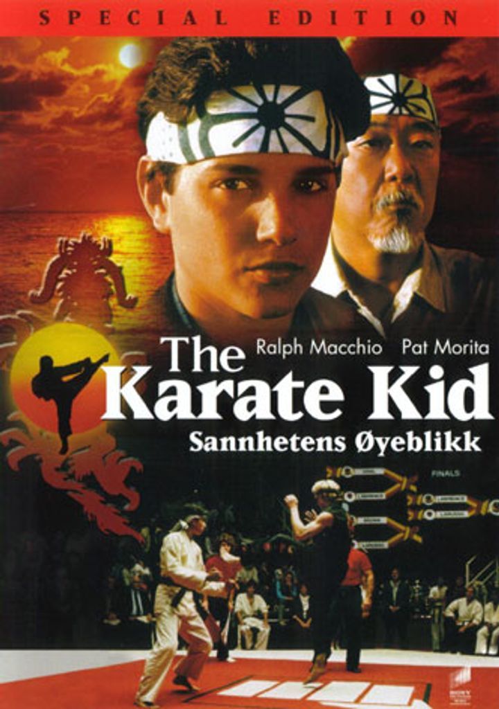 The Karate Kid Sannhetens Øyeblikk - DVD