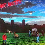 Mr. Mister - Welcome To The Real World (VINYL SECOND-HAND)