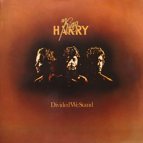 King Harry - Divided We Stand (VINYL SECOND-HAND)