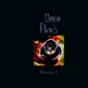 Bardo Pond - Volume 1 Orange LP RSD (VINYL)