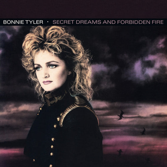 Bonnie Tyler - Secret Dreams And Forbidden Fire (VINYL SECOND-HAND)