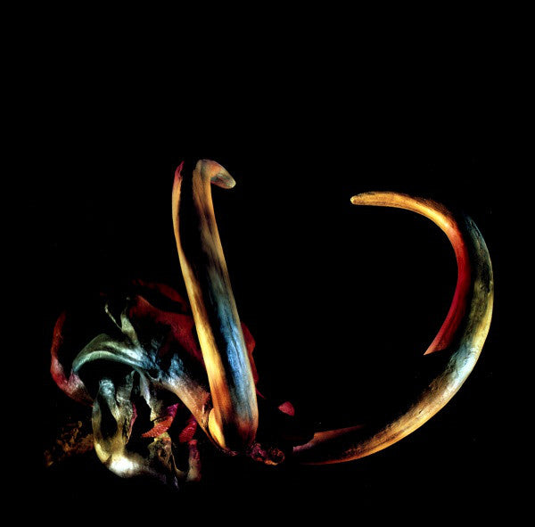Mammut