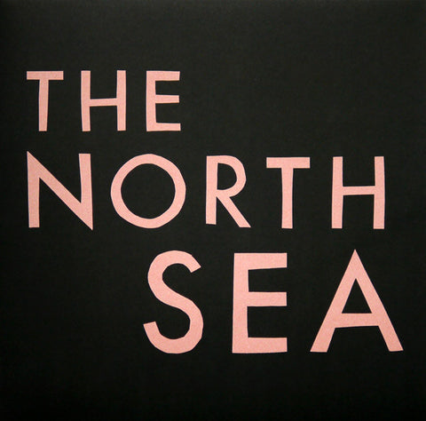 Franz Ferdinand - The North Sea (VINYL)